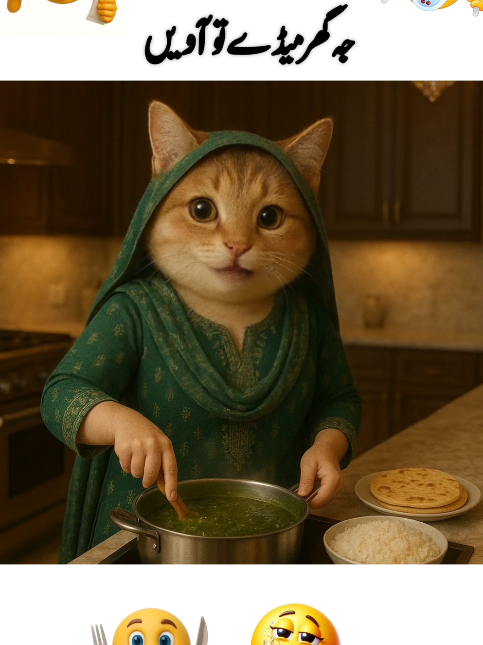 Dear @TiktokPakistanOfficial  team please support my content and viral my video|•• #song #funnycatsoftiktok #foryou #foryoupage #viral 