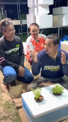 อย่าให้บ่าวก้วงต้องร้าย