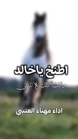 شيلة اطنخ ياخالد وانت كلك علا الزين #شيلة_مدح_خالد #شيلات_مهناء_العتيبي #شيلات_مدح