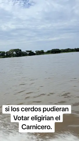 Si los Cerdos pudieran Votar...