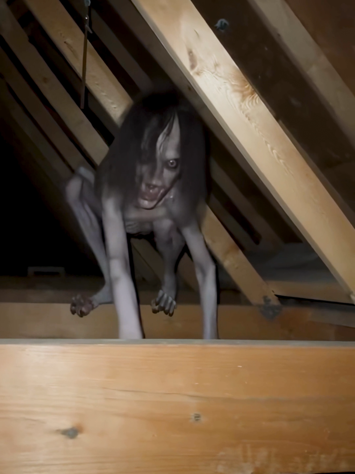 Can someone get this thing out of my attic?  #nightmarefuel 
