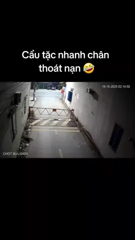 Cẩu tặc nhanh chân  thoát nạn 🤣