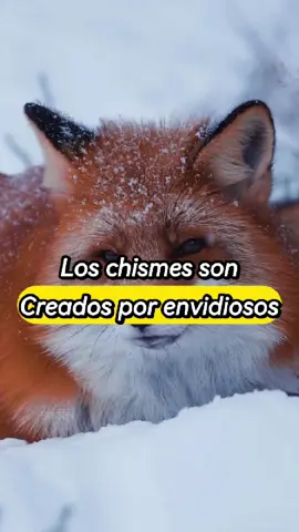 los chismes son creados por envidiosos  #desarrollopersonal #crecimientopersonal #reflexionesdelavida #mensajesdevida 