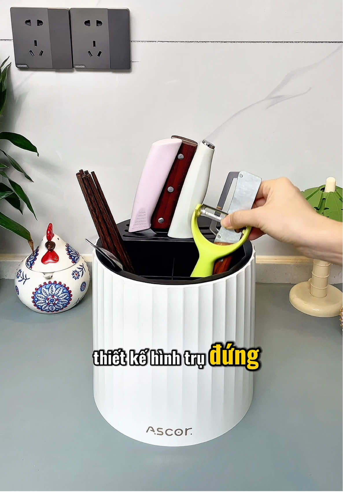 ✨ Chất liệu thì dày dặn và chắc chắn, lại còn có lỗ thoát nước phía dưới nữa,  giúp đũa thìa luôn khô ráo, sạch sẽ, đảm bảo vệ sinh an toàn thực phẩm nha..!! #daodua #hopdungdaodua #reviewsanpham #giadungnhabep #jizonguyen 