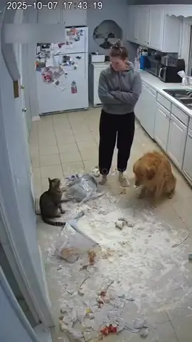 #топ #top #смех #угар #прикол 