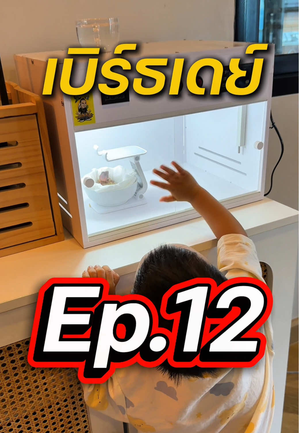ตอบกลับ @Jum.sukanya Ep.12 ปัญหาคอเอียง ####ลิตเติ้ลพีซ #เลิฟเบิร์ธเดย์ #นกขาถ่าง #สวนสัตว์tiktok 