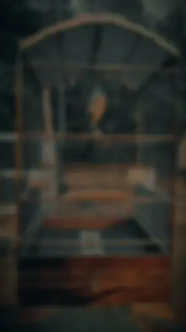 Mr jibreL #cendetmaniaindonesia #cendetponorogo #manukkonten #CapCut #fyp 