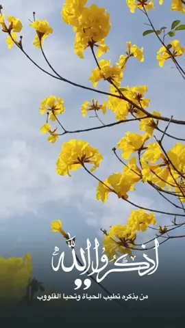 #*#إشـــــــــــــــراقـة🌼🍃💐  ▪️قال الله تعالى  ﴿ يَا أَيُّهَا الَّذِينَ آمَنُوا اذْكُرُوا اللَّهَ ذِكْرًا  كَثِيرً ﴾  ▪️أذكروا الله كي تكونوا بخير فلا خير  ولا سعادة إلا بذكره #القارئ  عبدالعزيز العسيري