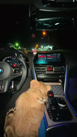 #😾😾😾😾😾😾😾😾