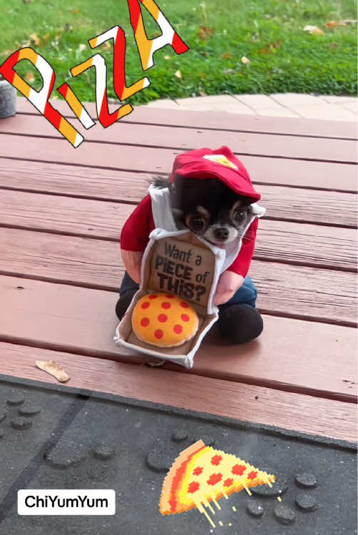 What’s your favorite Halloween costume for dogs?#halloween #halloween2025 #halloweencostume #halloweendog #dogcostume 