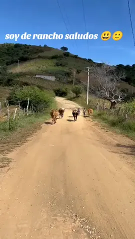 #LIVEIncentiveProgram #GoLIVEGrowFast #PaidPartnership 