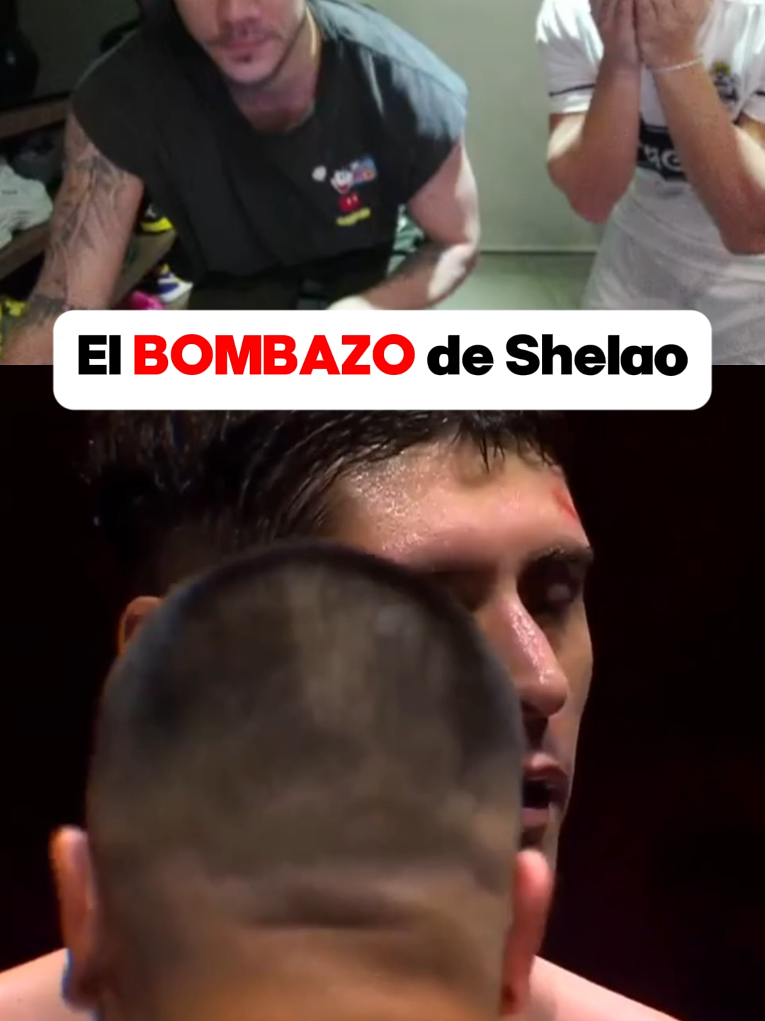 El BOMBAZO de Shelao#streamfighters #shelao #coscu #zzk #boxeo