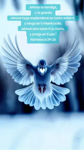 #cristianostiktok #graciasatodosporseguirmicuenta #graciasporsuapoyo #siguemeparamasvideos #bendicionesparatodos🙏🌍❤️ 