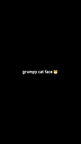the cute grumpy cat face🐱 #cat #funnycat #catsofttiktok #foryou #fyp