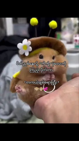တကယ်😭@ynthazin2 #fyppppppppppppppppppppppp #tiktok #thinkb4youdo #fyp #တကယ့်ချစ်စရာ 