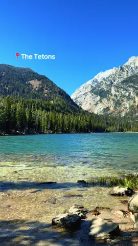 Went on a walk #Hiking #tetons #gorpcore #thegrandtetons #tetonationalpark 