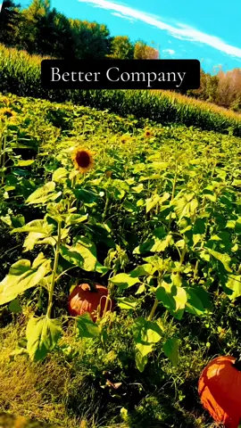 © #NyceWitIt #APoetsBlues  #PoetsOfTikTok #bettercompany #SpokenWord  