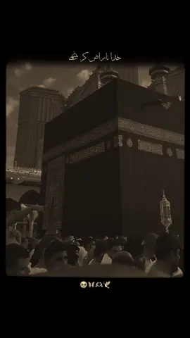 Khuda Naraz Kar Bethay Ye Hum Sub Kia Kar Bethay…🥺🦋🫶🕊️ #f#f#foryou#foryoupage#unfreezemyaccountrowmyaccount2rabi_ul_awal