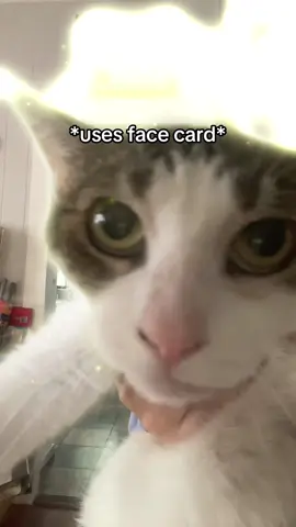 just kidding her face card declines 😹😹😹😹😹 #catsoftiktok #nonchalant #aura #facecard #meow 