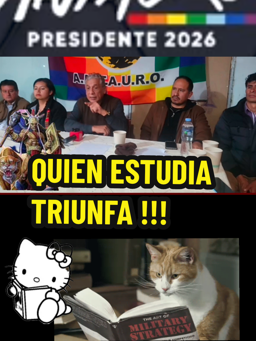 #antaurotupapi #abancay_apurímac_perú🇵🇪 #estudiar #kittycat #antauropresidente2026 