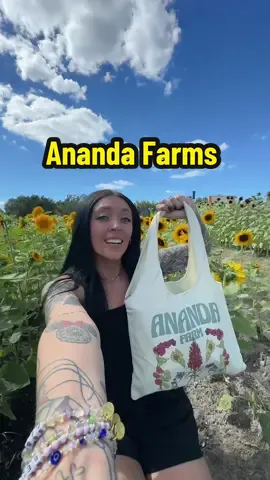 Let’s go explore Ananda Farms 🌻🎃🌴 #anandafarm #florida #pumpkinpatch #fall #flowers 