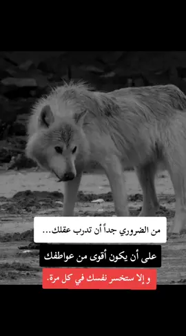 #fyp #f #F #شلفاوة_والحلاوة🔥 #شعب_الصيني_ماله_حل😂😂 