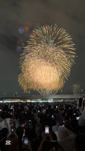 phần đầu là phần đẹp nhất, phần còn lại khắc cốt ghi tâm 🥲 #花火大会2025 #淀川花火大会 