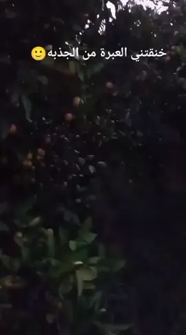 #شغلي_تصويري #شغل_البقجات_البرتقال🍊 #عملولي_أعادة_نشر😒 #شعب_السوري_ماله_حل😂😂  🌹صباح الخير🌹 