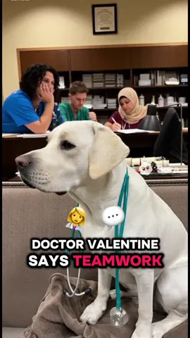 Doctor Bella Valentine Part 9!