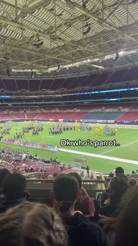 Love boa #boa#saintlouismissouri#band#fyp#viral