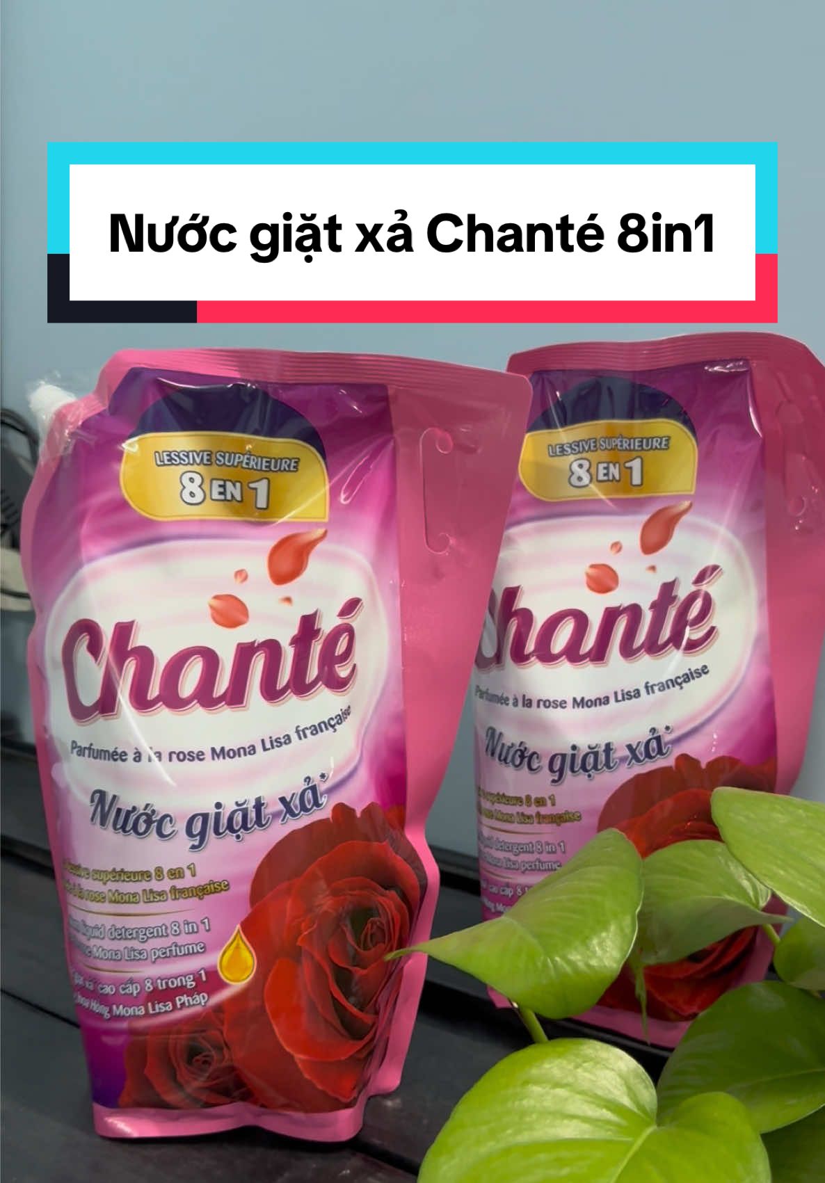 Nước Giặt Xả Chanté 8 in 1 thương hiệu Massan #nuocgiatchante #nuocgiatxa8trong1 #nuocgiatxa #nuocgiat #chante 