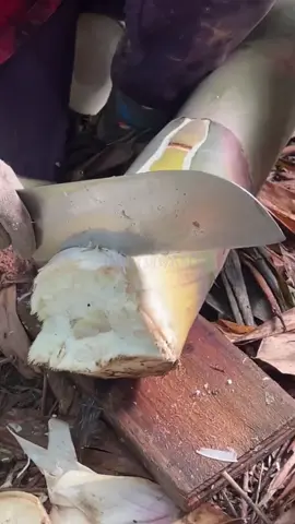 កុំមើលយូរពេក ព្រោះពេលវេលាមិននៅរងចាំយើងទេ🩵#អរគុណសម្រាប់ការចូលចិត្តvide🦋🙂🖤 #fyp ##capcut #foryou #foryoupage 