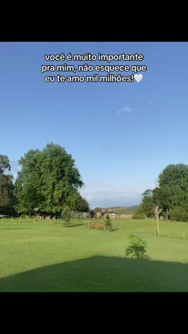 Eu te amo!❤️‍🩹 #fypシ゚ #amor #viral #dedicarvideos♡ #fy 