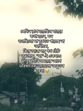 সেদিন রাগ হয়েছিল মায়ের কথা শুনে, মন বলছিলো মা বুঝতে পারছে না আমাকে, কিন্তু আজ বহু পথ হেঁটে বুঝলাম, 
