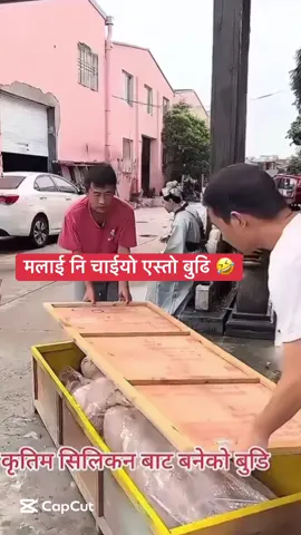 Mukhmukhe lagdaina vani chae..😅#nepaltiktok #comedyvideo #entertainment #fallow #govirel 