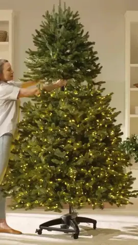 🎄 Em promoção de pré-Natal: até 60% de desconto em árvores incríveis!