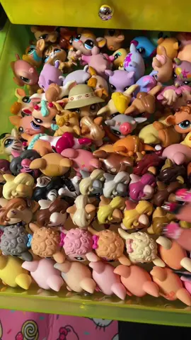 lps head scratches and tapping in the yellow drawers #asmr #asmrsounds #asmrsleep #lps #lpstiktok 