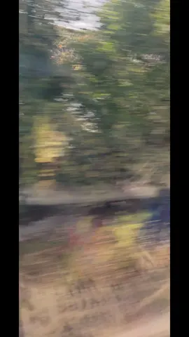 Beautiful scenery in my own back yard. #fall #fallaesthetic 