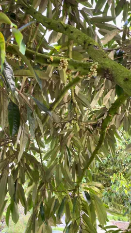 Cũng có lý lắm rồi 