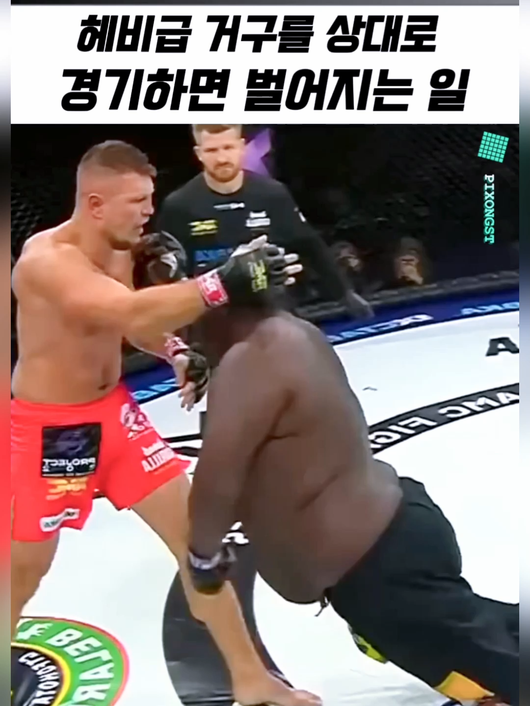 헤비급 거구를 상대로 경기하면 벌어지는 일 & 이기고도 무릎꿇고 울었던 파이터의 이