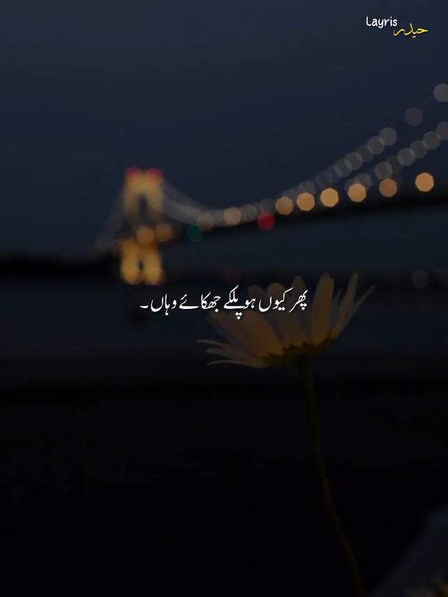 ma mara dil...!!!🫵🏼🖤🎧...  [ full trending song ]  #haider_layris0 #fyyyyyyyyyyyyyyyyyyyp #unfrezzmyaccount #100k #growviral in 