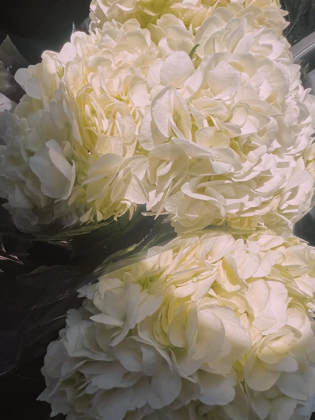 King Kylie era is back y’all😛#fyp 