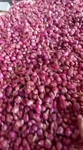 Bawang merah 1kg 25rb #bawangmerah #fyp#promoseruweekend #beranda 