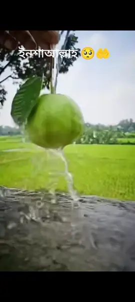 ##নিশ্চই_আল্লাহ_উত্তম_পরিকল্পনাকারী 