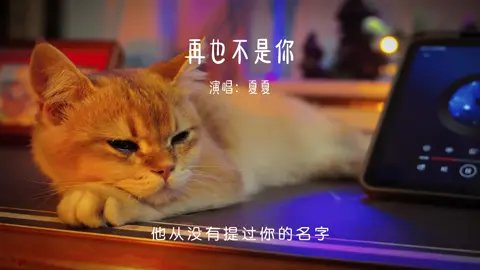 有些东西 给不了后来的人 有些东西 后来的人给不了你.#情感音乐 #再也不是你