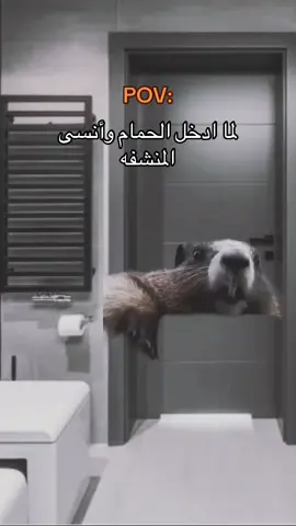#شعب_الصيني_ماله_حل😂😂 