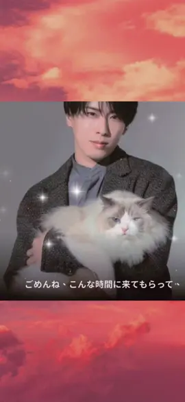 舘様からの愛の告白❤️🌹 #宮舘涼太 #宮舘担に届け  #舘様 #SnowMan 