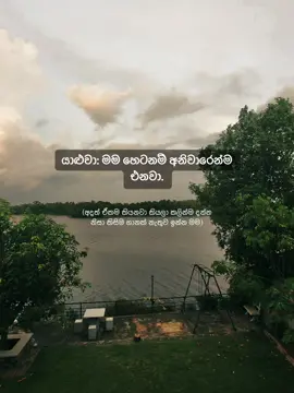 😒 #srilankatiktok🇱🇰 #fypシ゚ #quotes #relatable #thoughts   Had to try this song because of the music 🥲