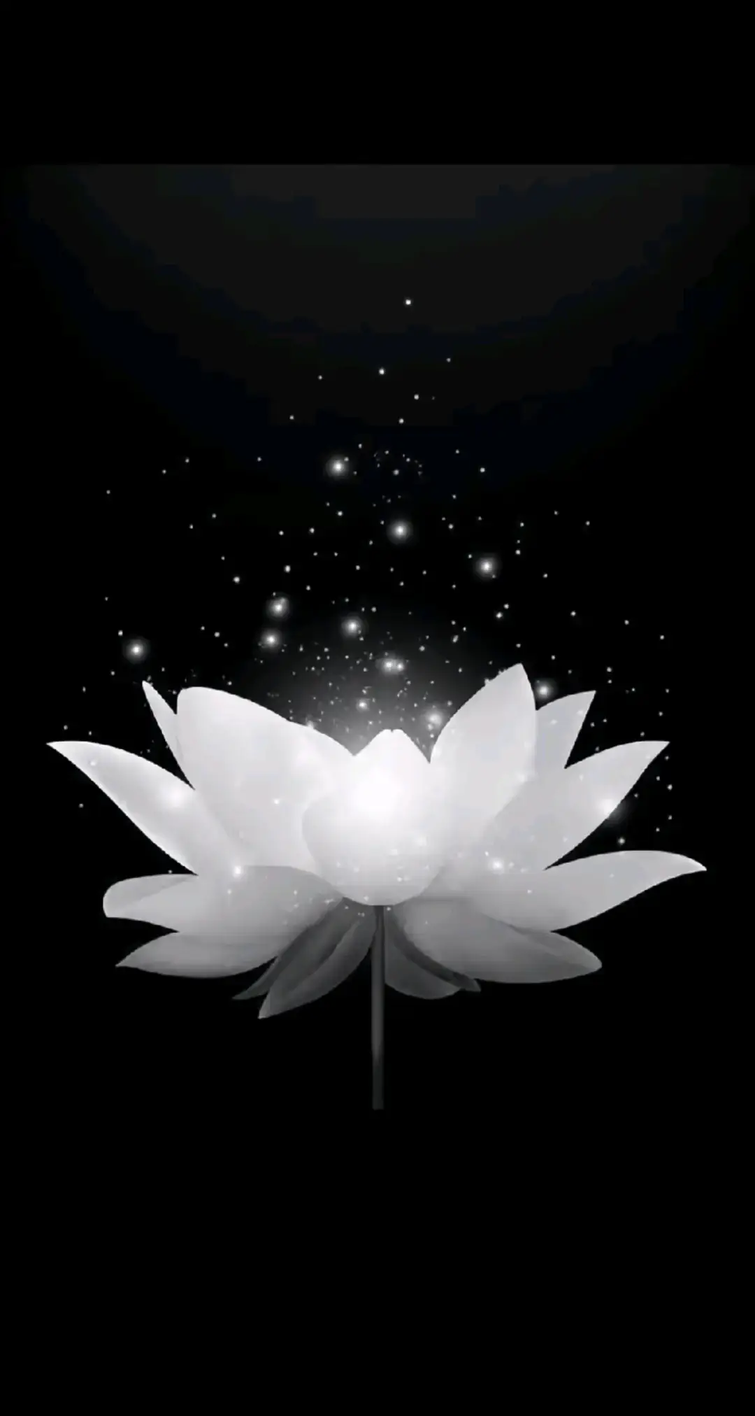 mấy bạn ơi, bà ngoại mình mất nên mình đặt ảnh hoa sen trắng nha😞