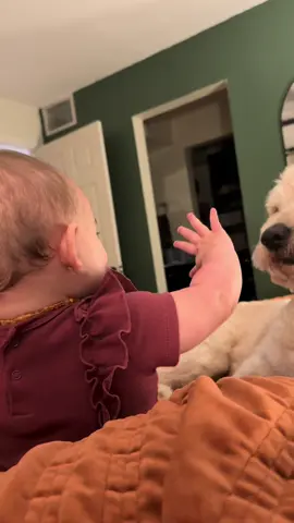 Just a playful pup and his favorite tiny human #dog #baby #laugh #bestfriend #babygirl 